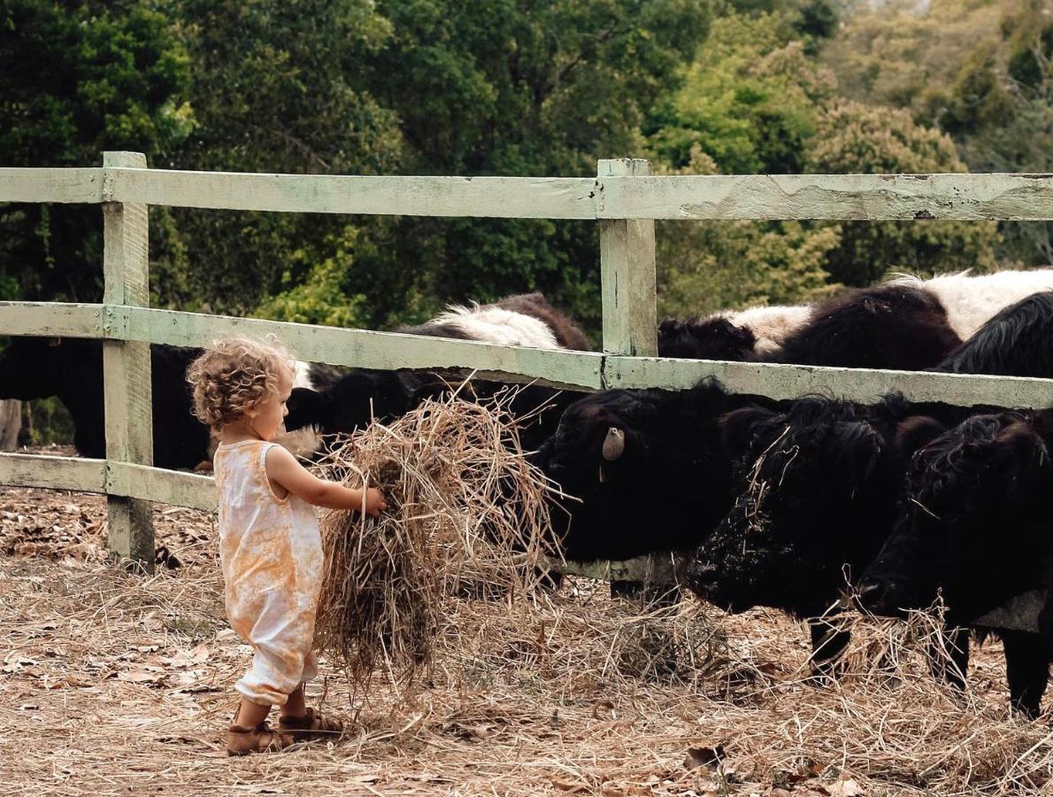 Rosecliffe Boutique Farm Cottages Pomona Dış mekan fotoğraf